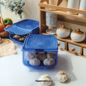  Tupperware Garlic-N-All Keeper Organizer for Onion