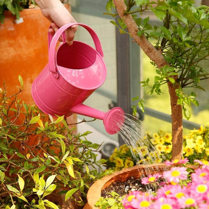 cc-1-5l-iron-watering-can-bonsai-shower-gardening-pot-sprinkled-kettle-garden-irrigation-spray-bottle