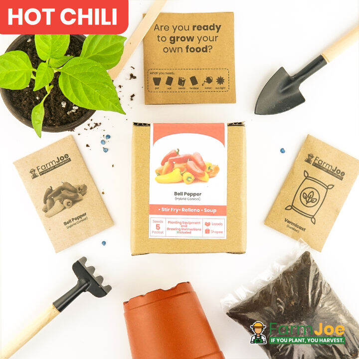 BELL PEPPER Growing Kit Planting Kit Seedling Kit Starter Kit