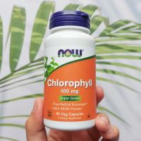 คลอโรฟิลล์ Chlorophyll 100 mg 90 Veg Capsules (Now Foods®)