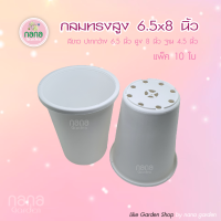 กระถางกลมทรงสูง ขนาด 6.5 x 8 นิ้ว แพ็ค 10 ใบ สีขาวครีม กระถางปลูกตอกราฟแคคตัส