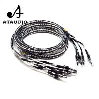 Hifi Speaker Cable High Quality Copper and silver shuffling Speaker Wire with Carbon Fiber Banana Jack