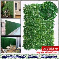 หญ้าเทียมมิลาน กันแดดกันฝน 40x60cm. กำแพงหญ้าเทียม,กำแพงสวนรั้วต้นไม้ปลอม หญ้าติดผนัง ติดระแนง