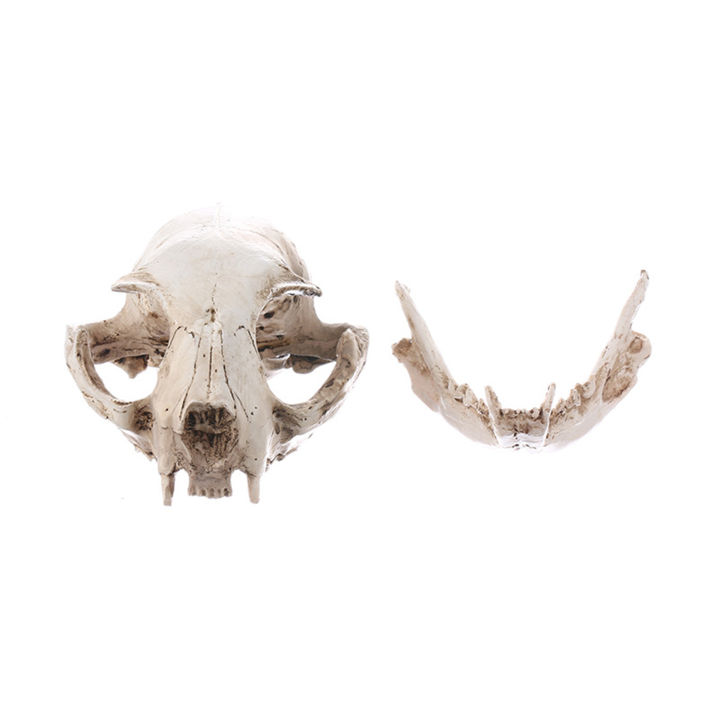 mini-resin-animals-statue-decor-realistic-animal-skull-bones-decor-for-home-collectible-decor