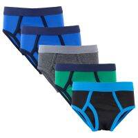 5 Pcs Pure Cotton Children Underwear Boys Panties Cute Kids Briefs Child Boy Pants 2-12 Years