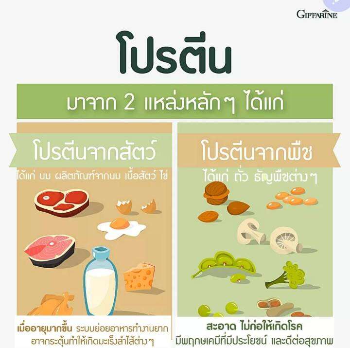 โปรตีนลดน้ำหนัก-วีแกนโปรตีน-ถั่ว-กิฟฟารีน-วีแกน-มัลติ-แพลนท์-โปรตีนกิฟฟารีน-โปรตีนจากถั่ว-กรดอะมิโนจำเป็นครบถ้วน-vegan-multi-plant-protein-giffarine