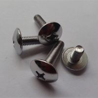 M6 Phillips Screws Truss Head Screw Chrome Clout-nail Mushroom Bolts 8-35mm Length Nails Screws  Fasteners