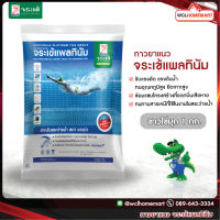 กาวยาแนว จระเข้ แพลทินัม สีขาวไข่มุก ขนาด 1 กก. กาวยาแนวสำหรับสระว่ายน้ำ Platinum