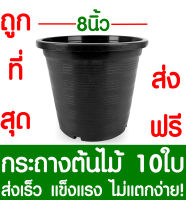 กระถางต้นไม้ กระถางพลาสติก ขนาด 8 นิ้ว 10ใบ กระถางกลม กระถางต้นไม้พลาสติก กระถางปลูกต้นไม้ กระถางดำ กระถางพลาสติกดำ Flower pot