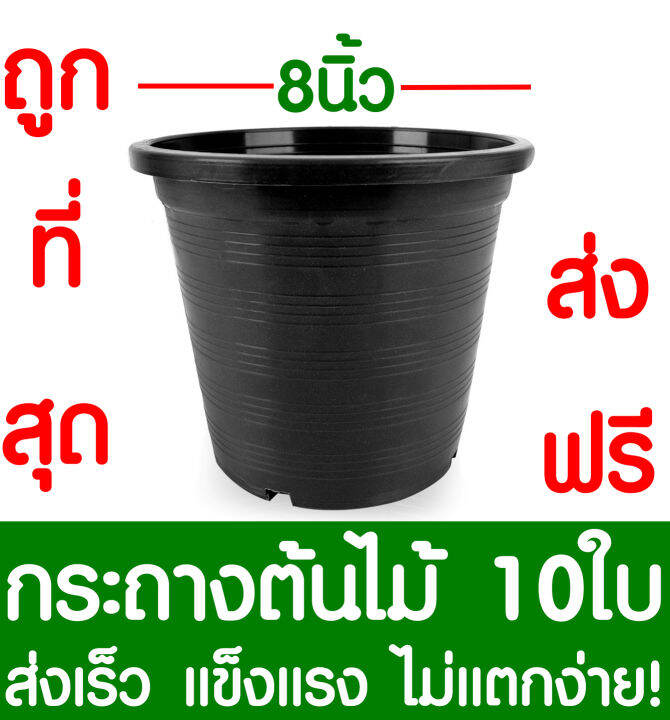 กระถางต้นไม้-กระถางพลาสติก-ขนาด-8-นิ้ว-10ใบ-กระถางกลม-กระถางต้นไม้พลาสติก-กระถางปลูกต้นไม้-กระถางดำ-กระถางพลาสติกดำ-flower-pot