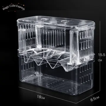 1PCS 4/5 Grid Fishing Tackle Box Plastic Storage Organizer Box with  Dividers Clear Plastic Tackle Trays Fishing Tackle Accessory Box Organizer