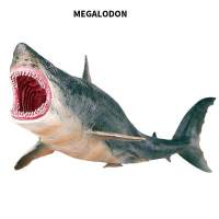 1 ชิ้นโหดมหาสมุทรทะเลMegalodonฉลามใหญ่Lamnidaeแอ็คชั่นSea Lifeสัตว์ยักษ์ฉลามรุ่นของเล่นของขวัญสำหรับเด็ก