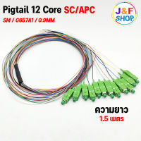 สายไฟเบอร์ออฟติกพิกเทล Fiber Optic Pigtail 12 Core ชนิดหัว SC/APC ยาว 1.5-3 เมตร