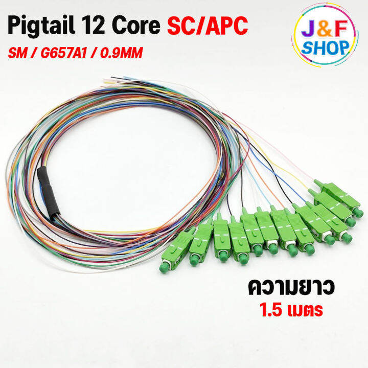 สายไฟเบอร์ออฟติกพิกเทล Fiber Optic Pigtail 12 Core ชนิดหัว SC/APC ยาว 1 ...
