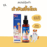 [ส่งฟรี] Paw Spray Ume Season สเปรย์ทำความสะอาดอุ้งเท้าสุนัข กำจัดเชื้อโรค (แบคทีเรียและไวรัส) สุนัขคันเท้า คันตามตัว เลียได้  Howndo