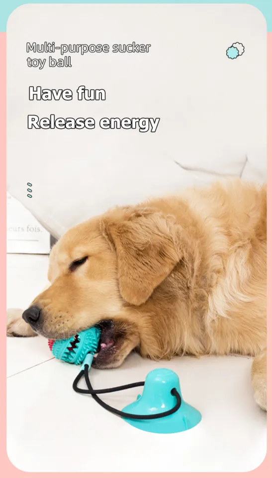 Dog Interactive Toys Bite Resistant TPR Rubber Chew Sucker Pet Molar  Squeaky Ball Toy Puppy Pull