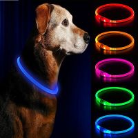 ZZOOI Led Usb Chargeable Dog Collar Pet Night Luminous Charge Safety for Flea &amp; Tick Controls Collars|-F-| Harnesses &amp; Leashes