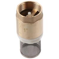 BKIJJ Brass Mesh Check Valve Gold DN25-1" Backflow Valve Durable Female Connection One-way Valve Oil Water Gas