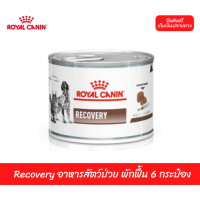 ✨??จัดส่งฟรีRoyal Canin Recovery อาหารสัตว์ป่วย พักฟื้น 6 กระป๋อง เก็บเงินปลายทาง ??