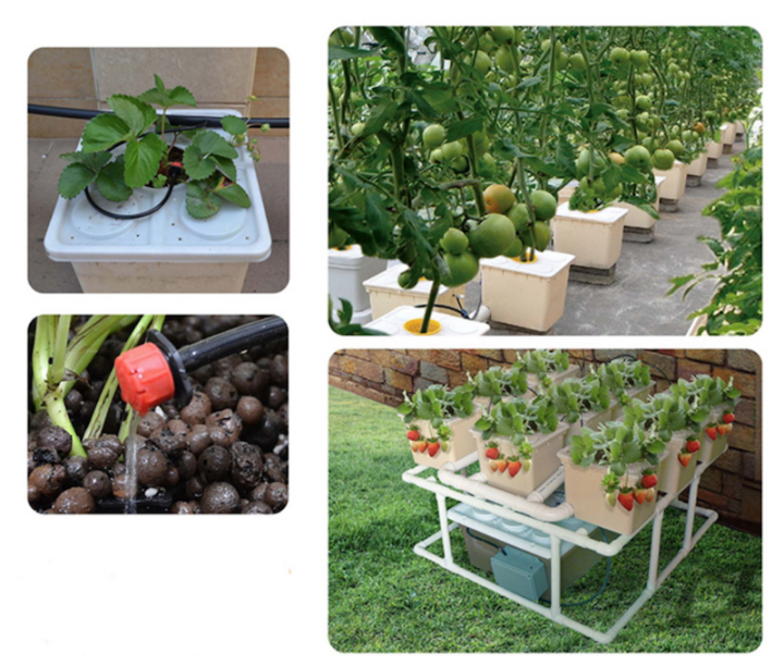 Soil Less NFT Hydroponic Farm Planting Pot Dutch Bato Square Siphon