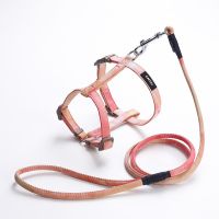 【FCL】﹊✳ Dog Harness Adjustable Walking Lead Leash Dogs Collar Polyester Mesh Small Medium