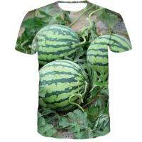 2023 newMale T-shirt 2023 fruits and vegetables, 3 d digital printing T-shirt leisure me ของผู้ชาย T เสื้อยืด 2023 ผักผลไม้ 3D การพิมพ์ดิจิตอล T เสื้อเชิ้ตลำลองผู้ชาย T เสื้อยืดคอกลมแขนสั้นทรงหลวม 2023.5.30