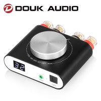 Douk Audio Q10 Mini Digital AUX / Optical Amplifier Bluetooth 5.0 ตัวรับ HiFi Class D Power Amp สําหรับลําโพงในบ้าน