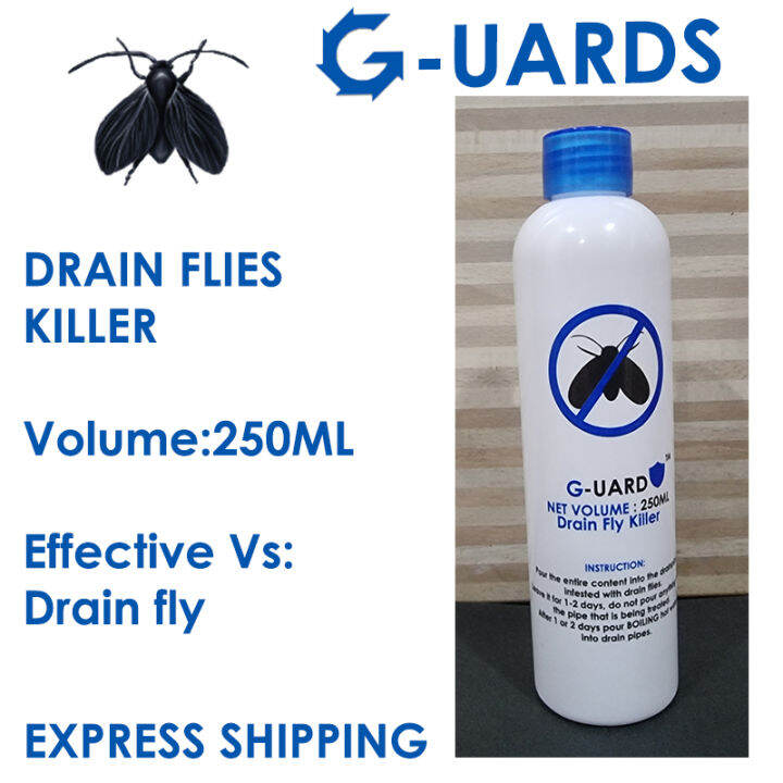 Drain flies/ drain fly killer GUARDS Lazada Singapore