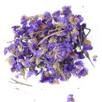 Real Dried Flower Dry Plants For Aromatherapy Candle Epoxy Resin Pendant Necklace Jewelry Making Craft DIY Accessories