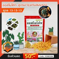 ออสโมโค้ท (Osmocote ) 13 -13-13 แบบซอง 100 กรัม สูตร 3 เดือน 100 กรัม ปุ๋ยละลายช้า เร่งดอก เร่งโต สำหรับไม้ดอกไม้ประดับทุกชนิด