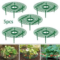 QianXing Shop 5pcs Frame Balcony Planting Rack Fruit Support Plant Climbing Vine Props Flower Gardening Bracket