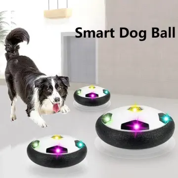 Smart best sale dog electronics