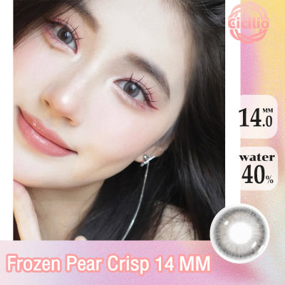 คอนแทคเลนส์ คอนแทคเลนส์สายตาสีเทา คอนแทคเลนส์สี contact lens คอนแทคเลนส์เทา 14MM 0° คอนเทคเลนส์รายวัน คอนแทคเลนส์แฟชั่น