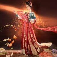 Chinese Traditional Hanfu Woman Tang Dynasty Ancient Dress Lady Elegance Original Hanfu ханьфу 요정 드레스