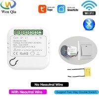 hot！【DT】 WIFI Moudle No Wire Relay Supports 2 Way Tuya Timer 220V