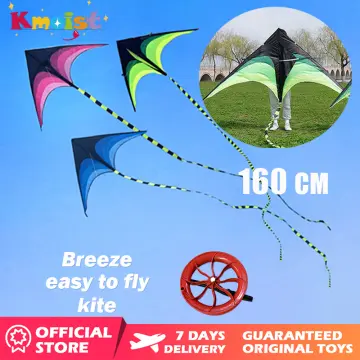 Children Kite With Fishing Pole Easy Flying Cute Cartoon Kite Toys