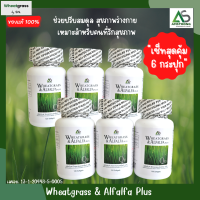 ผักเม็ด Wheatgrass &amp; Alfalfa Plus ?  ผลิตภัณฑ์อาหารเสริม แอมสตรอง วีทกราส อัลฟัลฟ่า ผักอัดเม็ด สกัดเย็น สูตรดั้งเดิม (6 กระปุก สุดคุ้ม!)