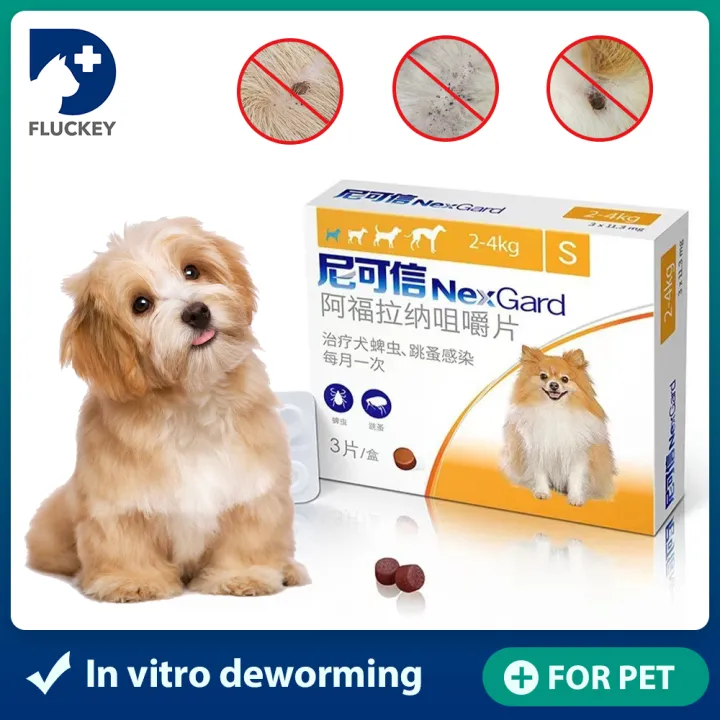 259KG Nexgard Oral In Vitro Deworming for Dogs Flea Tick Deworming