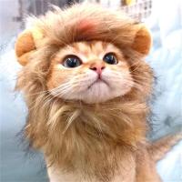 Pets Cat Wig Cute Lion Mane Funny Clothes Party Cosplay Costume Kitten Puppy Hat With Ears Decor Accessories Pet Supplies Clothing Shoes Accessories C