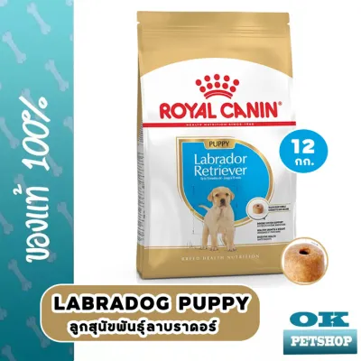 EXP4/24  Royal canin Labrador Retriever Puppy 12 Kg อาหารลูกสุนัขพันธุ์ลาบราดอร์