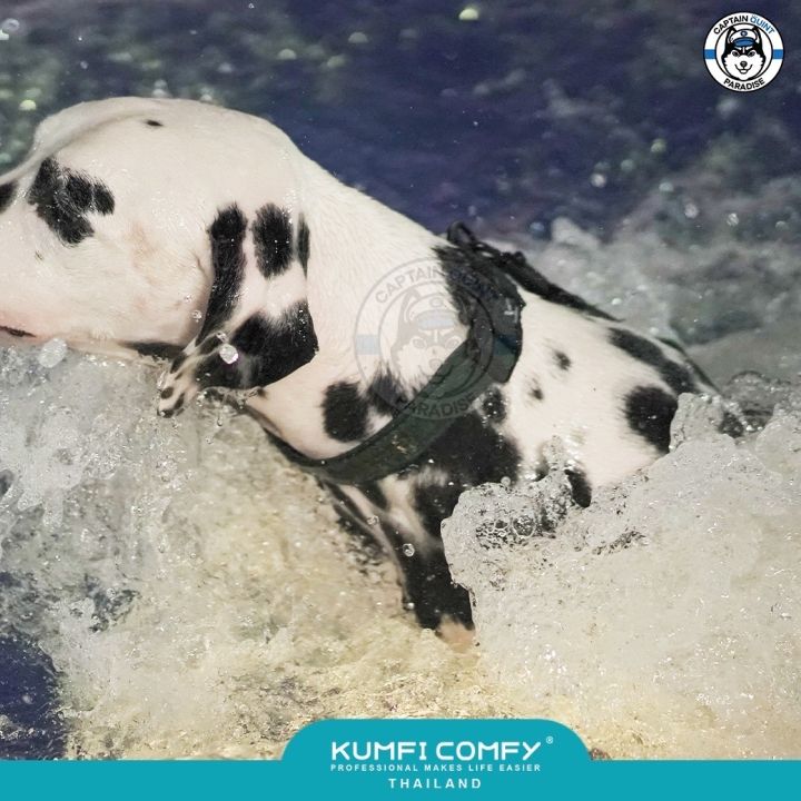 kumfi-comfy-waterproof-collar-ปลอกคอสุนัขกันน้ำรุ่นใหม่