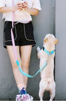 Soft Dog Multifunctional Adjustable Leash Running Hands Free Elastic Reflective Training Pet Bungee Jumping Dog Leash