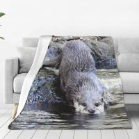 Ready Stock Otter Blanket Bedspread On The Bed Girl Bed Covers Sofa Bed