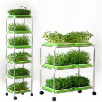 Bean Sprout Nursery Tray Shelf with Universal Wheel Stainless Steel Seedling Germination Tray HydroponicVegetable Planting Frame Bag Accessories