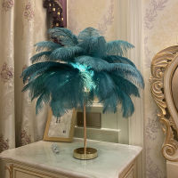 Usb Rechargeable Feather Table Lamp Led Ostrich Hair Bedroom Bedside Lamp Bedside Table Nordic Romantic Table Lamp