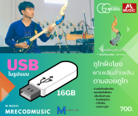 USB บรรเลงพิณเต็ม ชุดพิเศษ เอ็ม ลำน้ำโขง  รวมพิเศษ  ของแท้ สินค้าขายดี