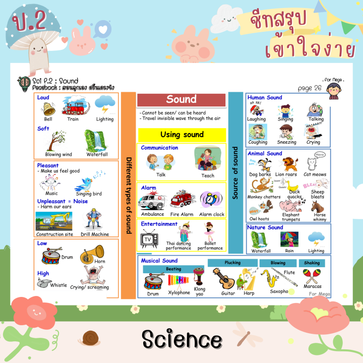 ชีทสรุป-ป-2-เทอม-1-2-แนวอัสสัม-เซนต์คาเบียล-รวม-5-วิชาหลัก