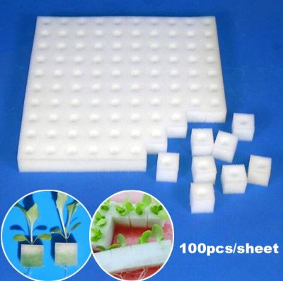 ；【‘； 100Pcs/Sheet Garden Cultivation Plant White Sponge Soilless Culture Planting Hydroponic Vegetables Nursery Pots Cloning Collar