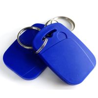 50Pcs/Lot 125Khz TK4100 RFID Keychain Tag Key Proximity EM ID Card Token Keyfob For Access Control System Time Attendance Device