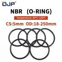 ▽☁┇ NBR O Ring Seal Gasket Thickness CS5mm OD18-250mm Wear Resistant Automobile Petrol Nitrile Rubber O-Ring Waterproof Black